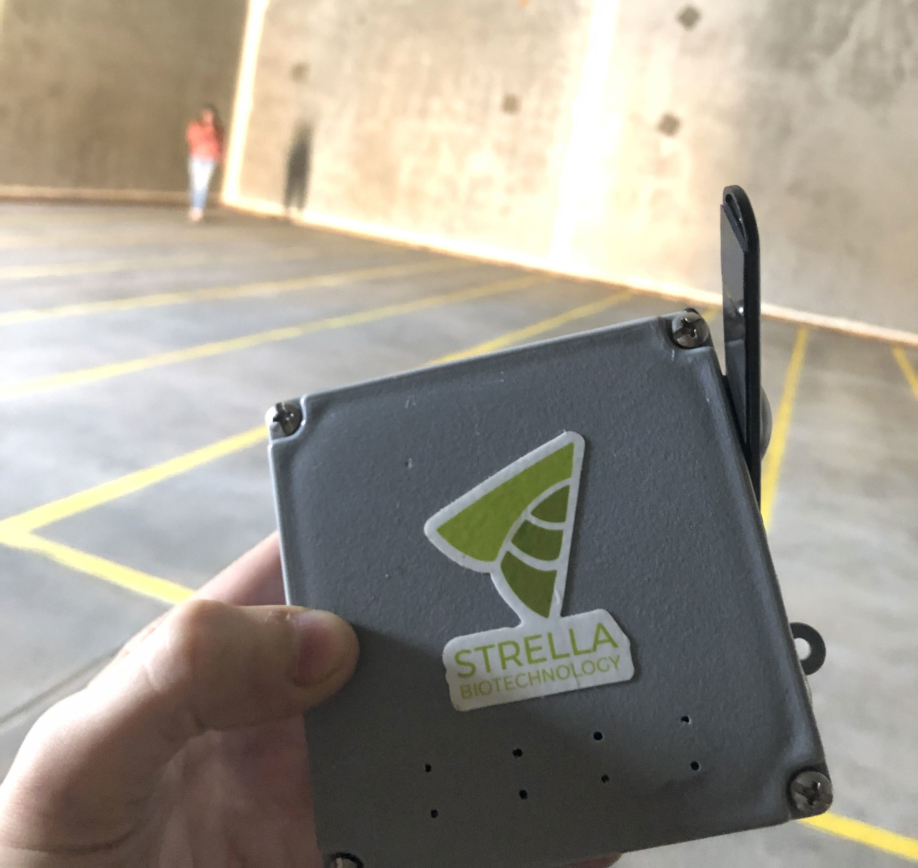 Strella - Ripeness Technology.