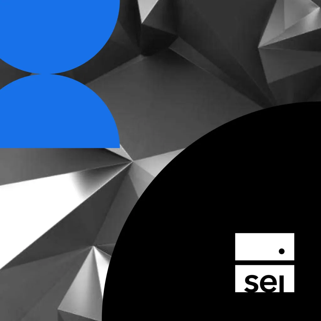 SEI case study