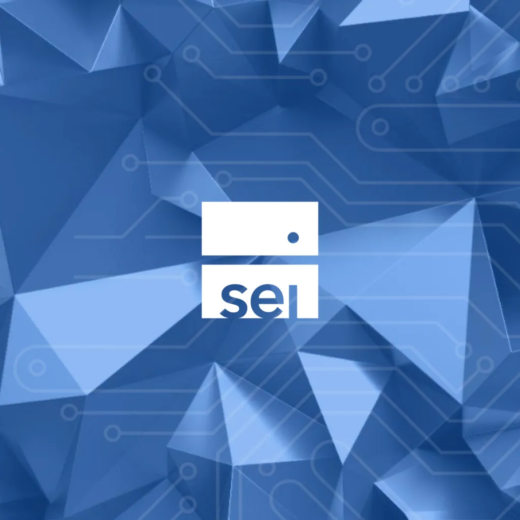 SEI logo over blue pattern.